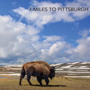 7 Miles to Pittsburgh – 7 Miles To Pittsburgh